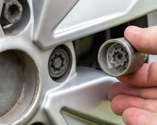 1 183017203_m_normal_none 1 183017203_m_normal_none