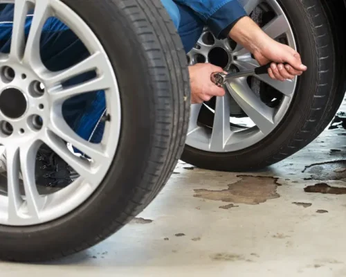 1 47558148_m_normal_none 1 47558148_m_normal_none